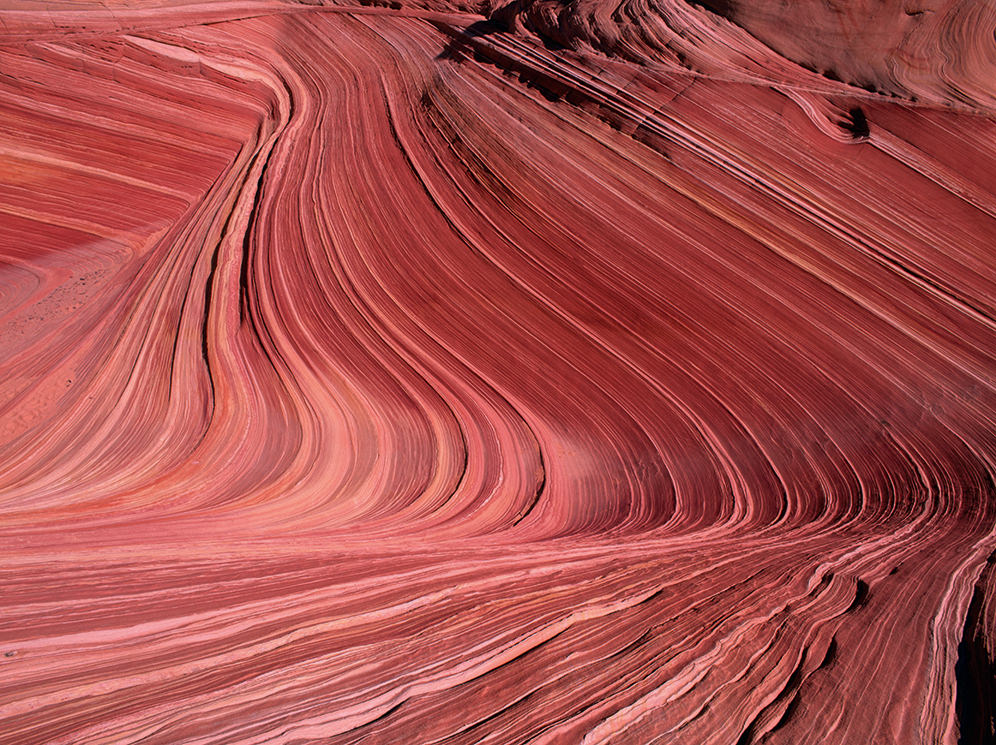 Photographer of the week Art Wolfe MILK Books