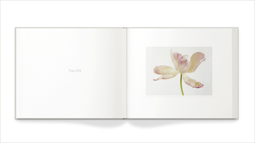 13x11 art book