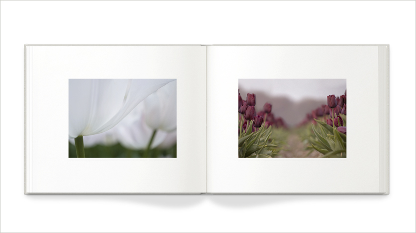 13x11 photo book 13x11 art book on flower