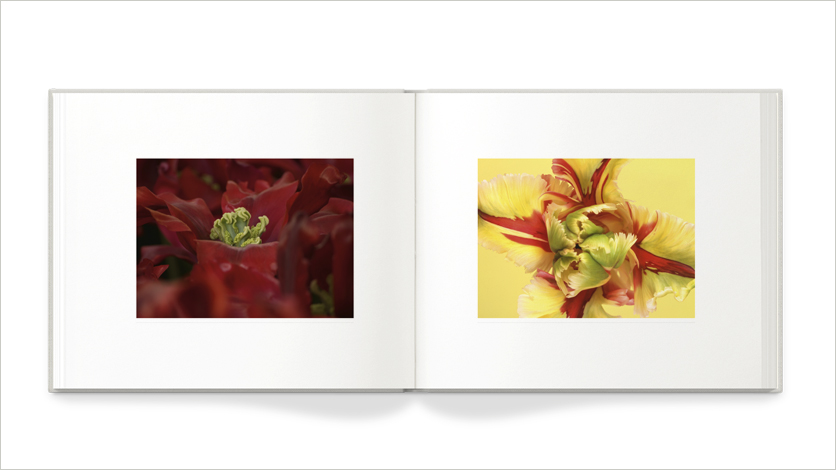 13x11 photo 11x13 art book photo