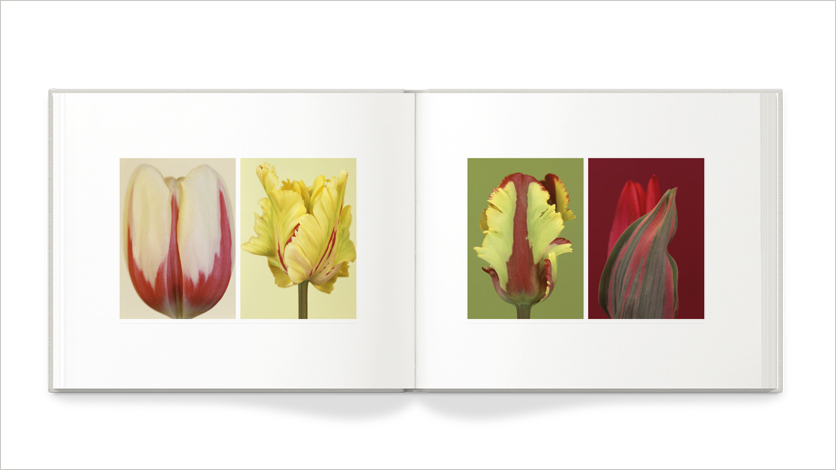 13x11 flower art book 11x13 flower photo book