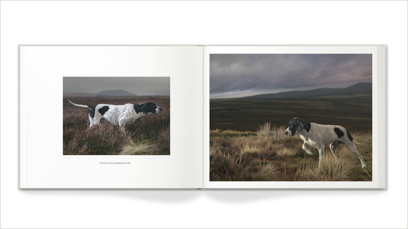 10x8 pet photo book 10x8 photo of dog