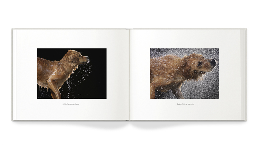 10x8 pet photo 10x8 pet photo books