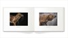 10x8 pet photo 10x8 pet photo books