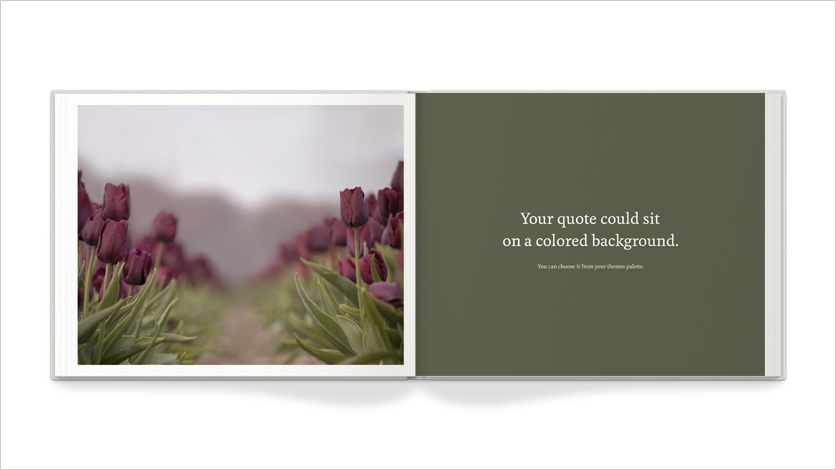 multipurpose book of special memories - 10x8