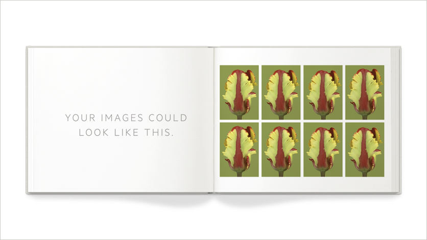 10x8 multipurpose book photo