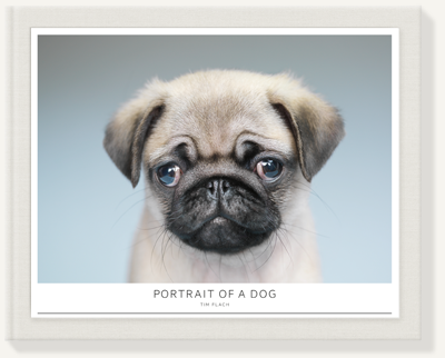 Photo book 10x8" theme